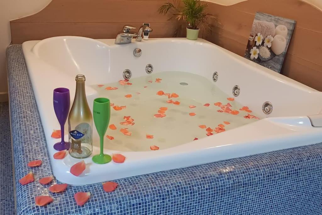 Central Terrace Escape With Jacuzzi 蒂米什瓦拉 外观 照片
