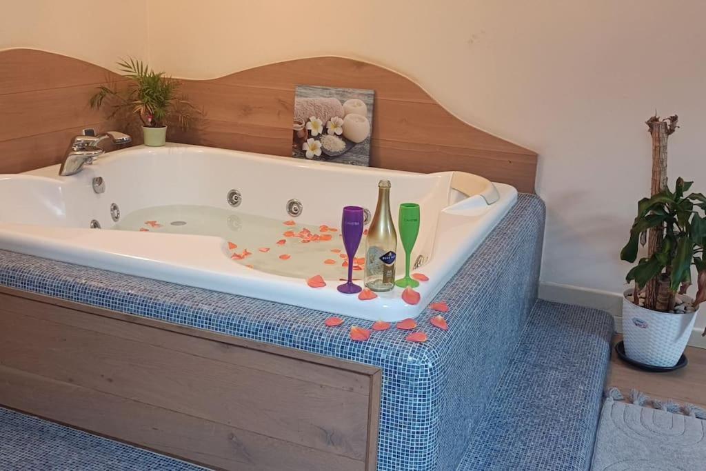 Central Terrace Escape With Jacuzzi 蒂米什瓦拉 外观 照片
