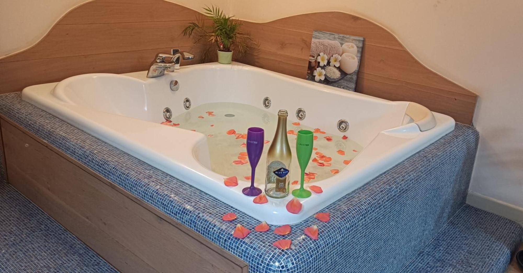 Central Terrace Escape With Jacuzzi 蒂米什瓦拉 外观 照片